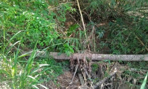 Before - Drainage Works